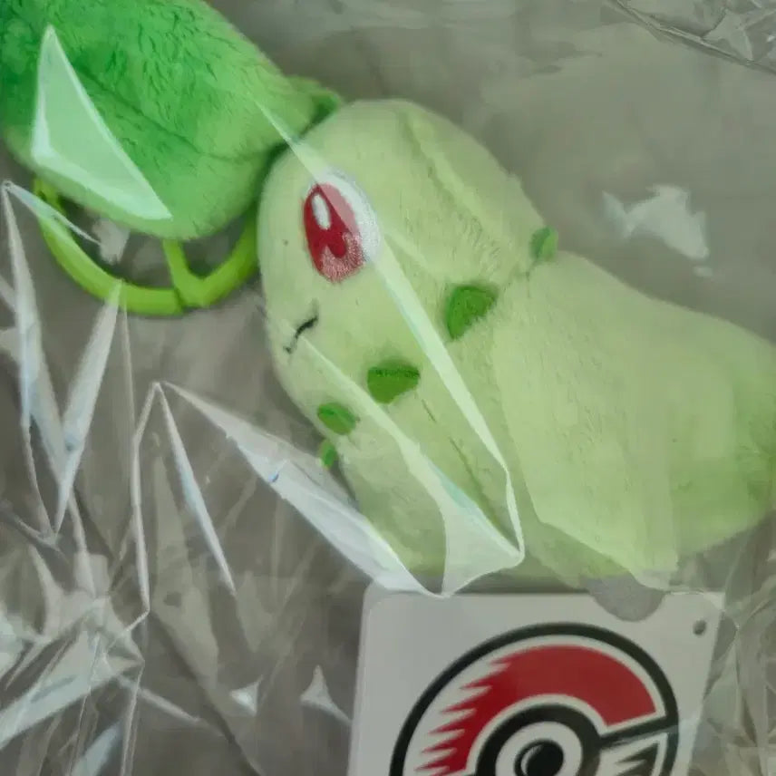 [BUNJANG] Pokemon Chikorita Carabiner Mascot Keychain (Sealed) / 미개봉) 포켓몬스터 치코리타 카라비너 마스코트인형 키링