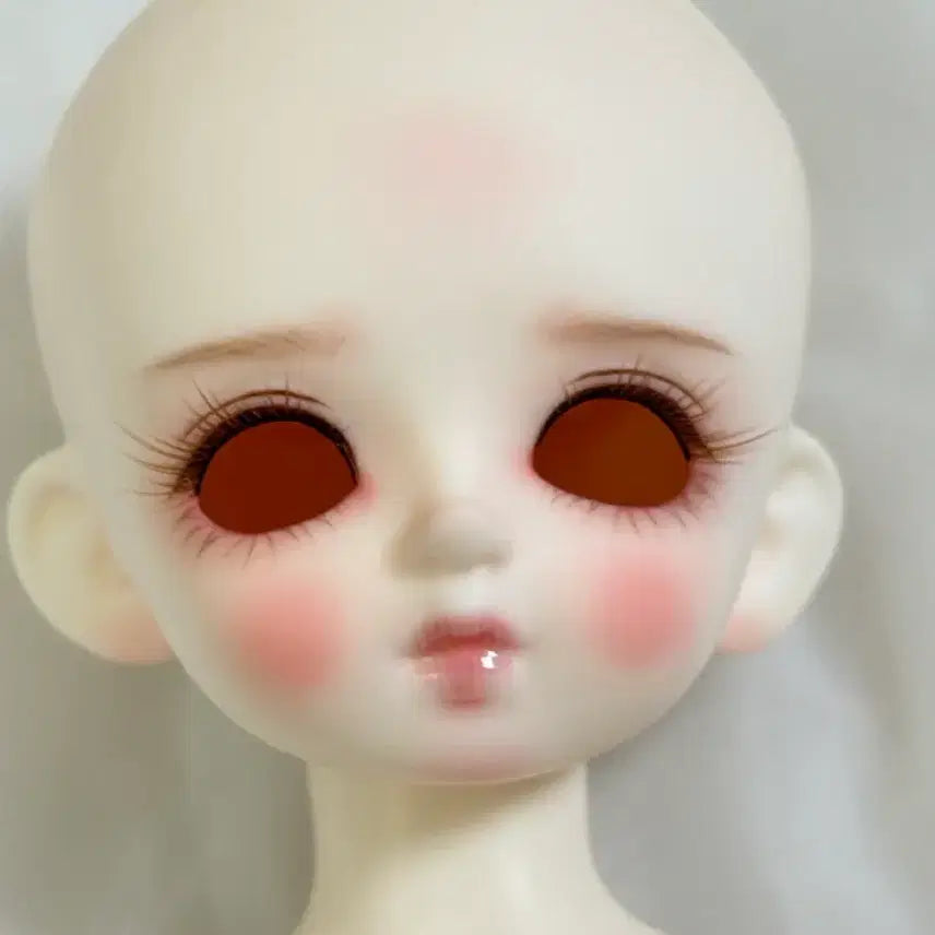 [BUNJANG] Chicabi Peko MSD Ball-Jointed Doll / 치카비 페코 구체관절인형 usd