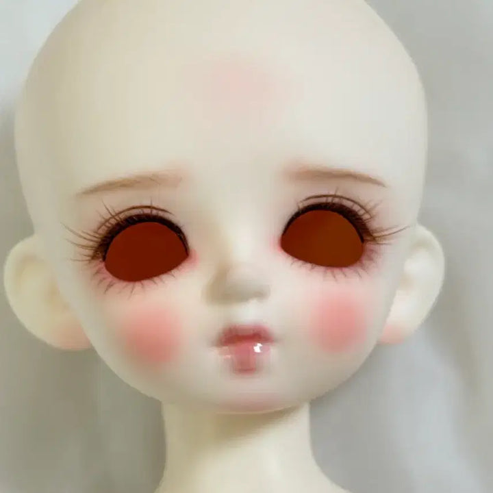 [BUNJANG] Chicabi Peko MSD Ball-Jointed Doll / 치카비 페코 구체관절인형 usd