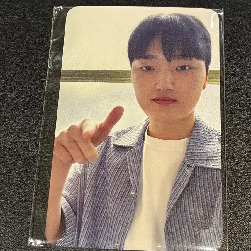 [BUNJANG] T1 Daewoong Pharmaceutical Phase Photocard / T1 대웅제약 페이즈 포토카드 판매
