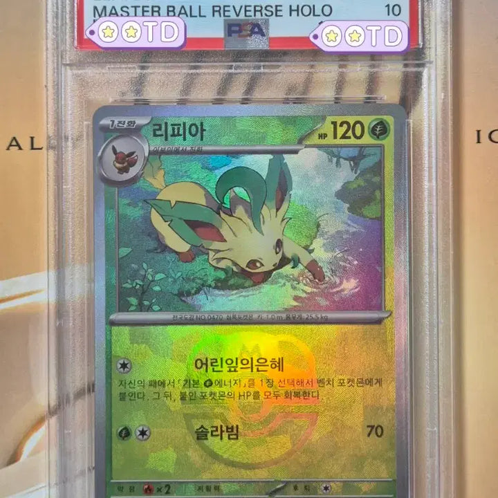 [BUNJANG] Pokemon Korean Edition 2025 Leafeon Master Ball Reverse Holo PSA 10 Graded Card / 등급카드 PSA10 포켓몬카드 한글판 2025 리피아 마스터볼
