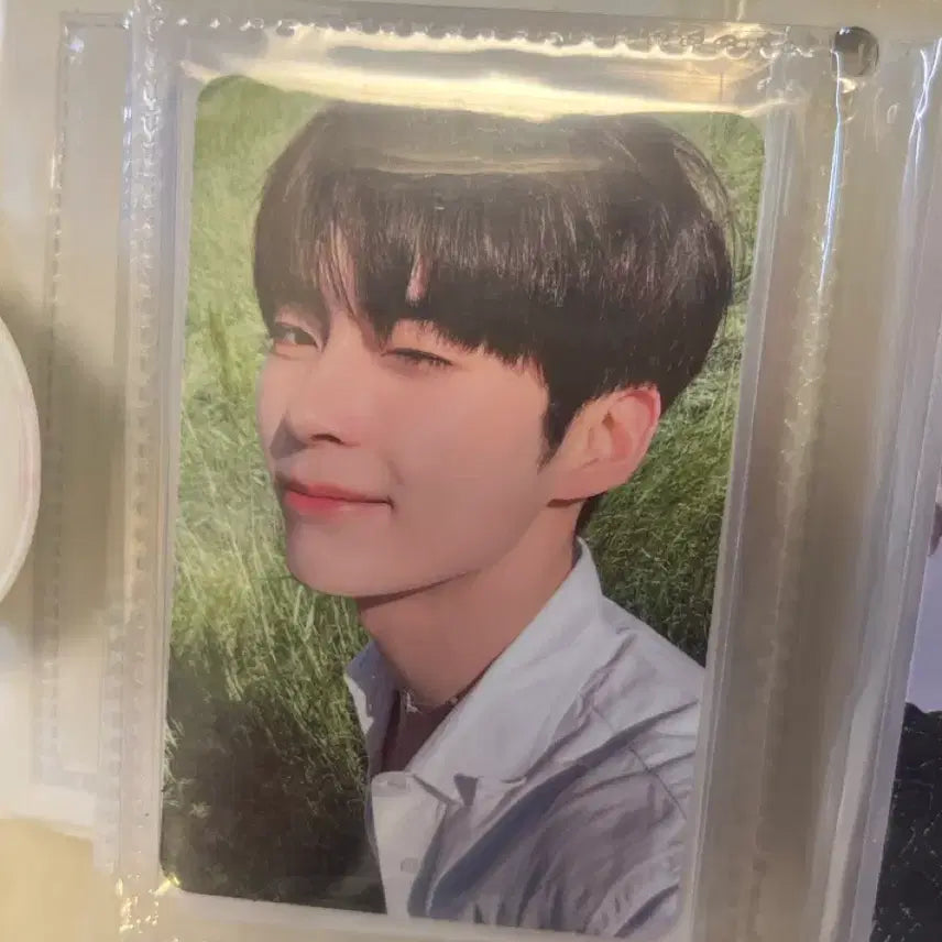[BUNJANG] Sung Han Bin Wink Photocard / 성한빈 윙크 포카 판매합니다