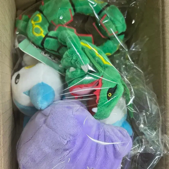 [BUNJANG] Pokemon Plush Bundle Set / 포켓몬 봉제인형 일괄판매