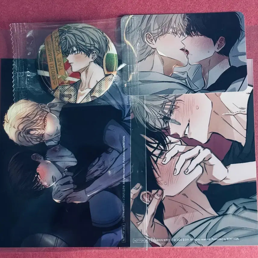 [BUNJANG] STAYC Behind Home Party Skinship Header Photocard Badge Bundle Set / 스테이지비하인드 홈파티 스킨십 헤더 포카 뱃지 양도