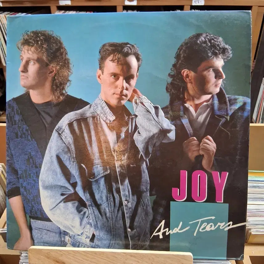 [BUNJANG] JOY and Tears Roller Rink LP Album / 롤러장 음악 JOY 앤 티어스 LP 앨범