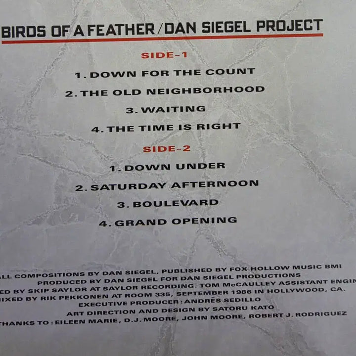 [BUNJANG] Dan Siegel Project Birds of a Feather LP Vinyl Record / Dan Siegel Project의 Birds of a Feather LP 앨범