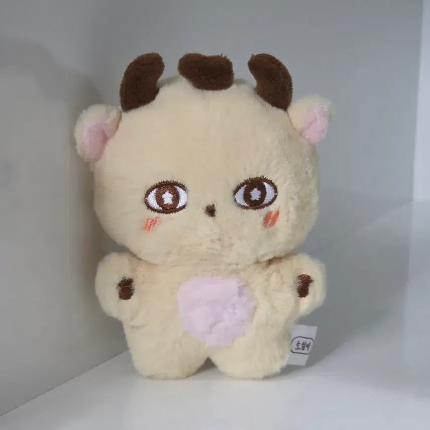 [BUNJANG] Park Ji Hoon SsoSimi Doll Unsealed / 박지훈 소심이 인형 판매합니다