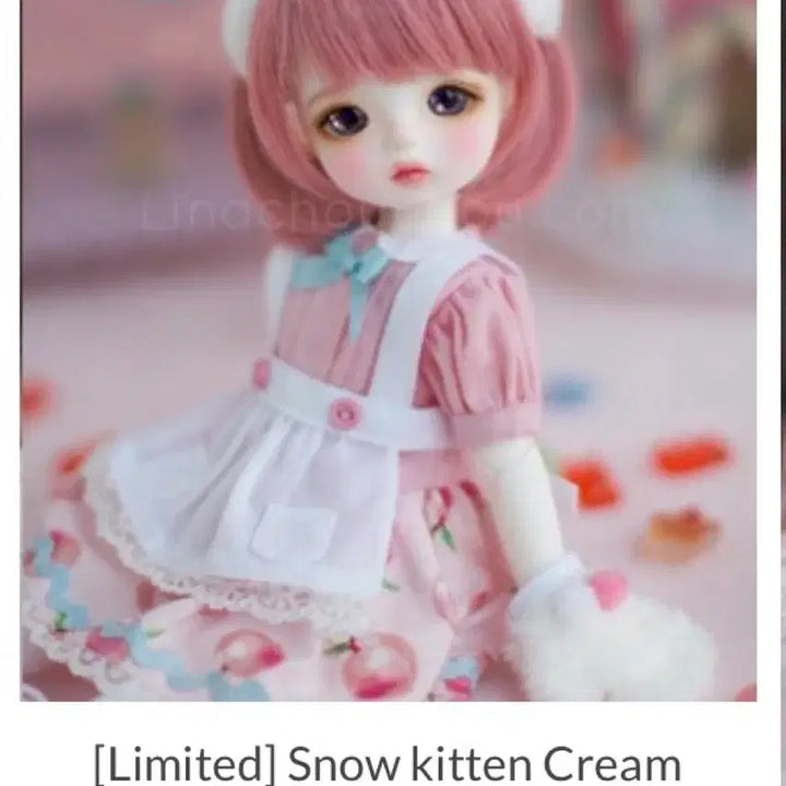 [BUNJANG] LinaShushu Limited Edition Snow Kitten Cream Doll / 리나슈슈 한정판 스노우키튼크림 Snow kitten Cream 물포