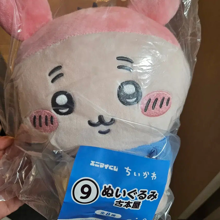 [BUNJANG] Chiikawa Animai Summer Lottery Nuiigurumi / 치이카와 애니마이 여름쿠지 카니 누이구루미 양도 판매