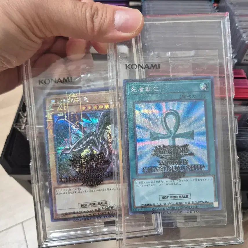 [BUNJANG] Yu-Gi-Oh! WCS 2019 World Championship Red-Eyes Black Dragon + Pot of Greed Sealed Cards / 유희왕 wcs2019 월챔 붉은눈의흑룡 + 죽은자의소생 미개봉