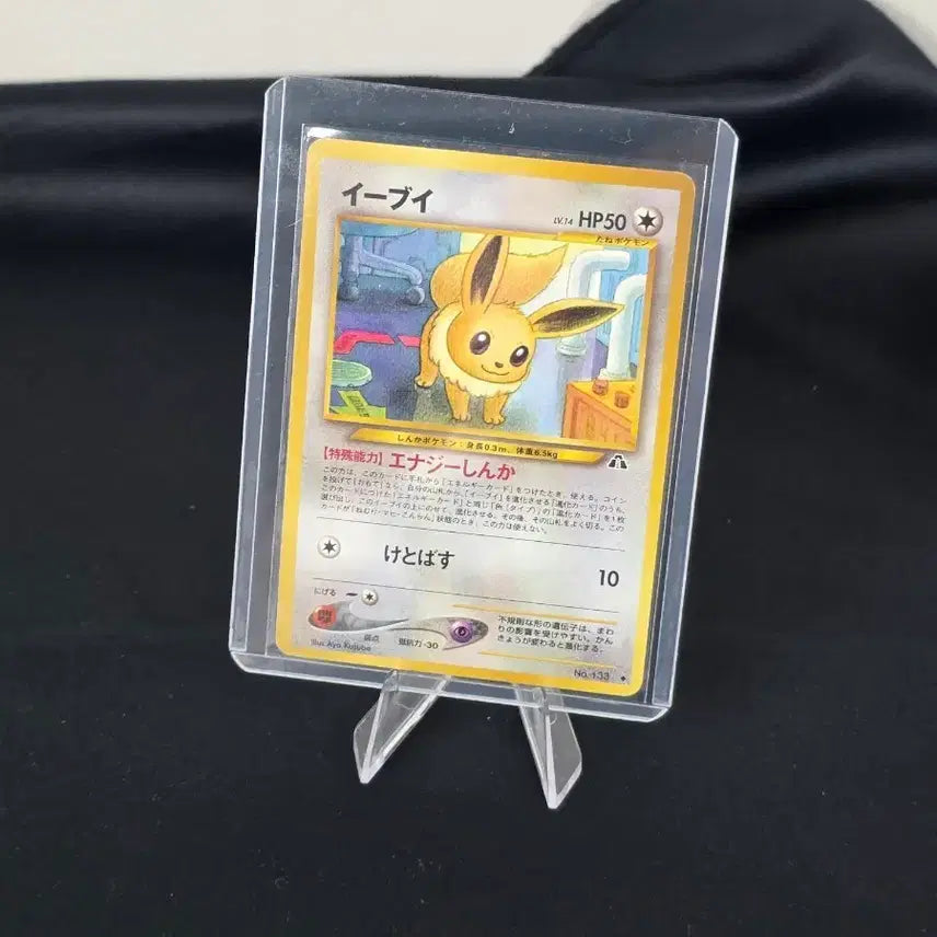 [BUNJANG] Pokemon Eevee Neo Premium File 2 Initial Japanese Edition Card / 포켓몬 카드 이브이 네오 프리미엄 파일2 2000 초기 일판 카드