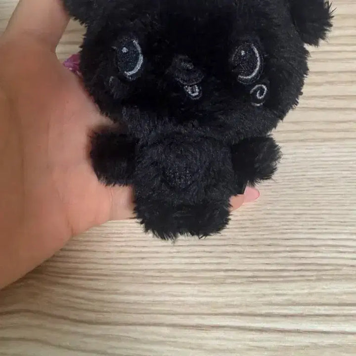 [BUNJANG] Color Doll Wish Doll Secret / 컬러돌 위시돌 위시돌 시크릿