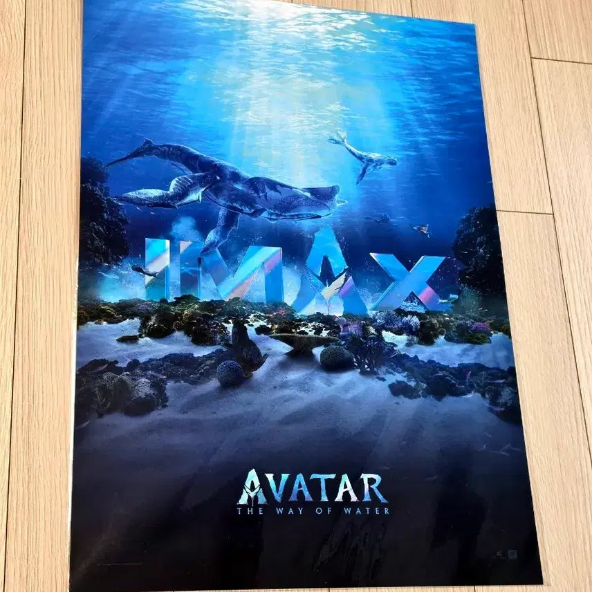 [BUNJANG] Avatar 2: The Way of Water IMAX Poster (A3) / [전용박스포장]영화 아바타2 물의길 IMAX 포스터(A3)