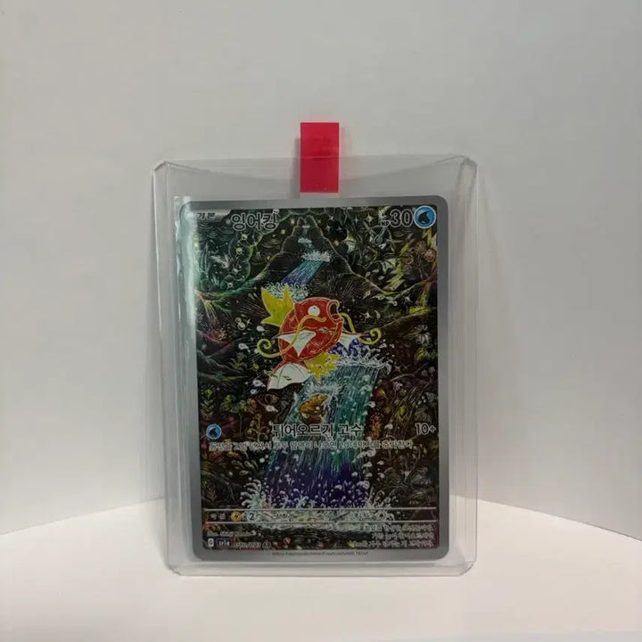 [BUNJANG] Pokemon Card Magikarp AR / 포켓몬카드 신지칸다 잉어킹 ar 팝니다!