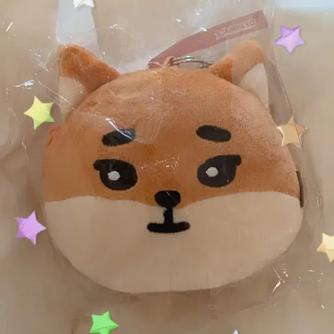 [BUNJANG] Day6 2019 Concert Pouch Sealed / (미개봉) 데이식스 2019 클콘 케 파우치