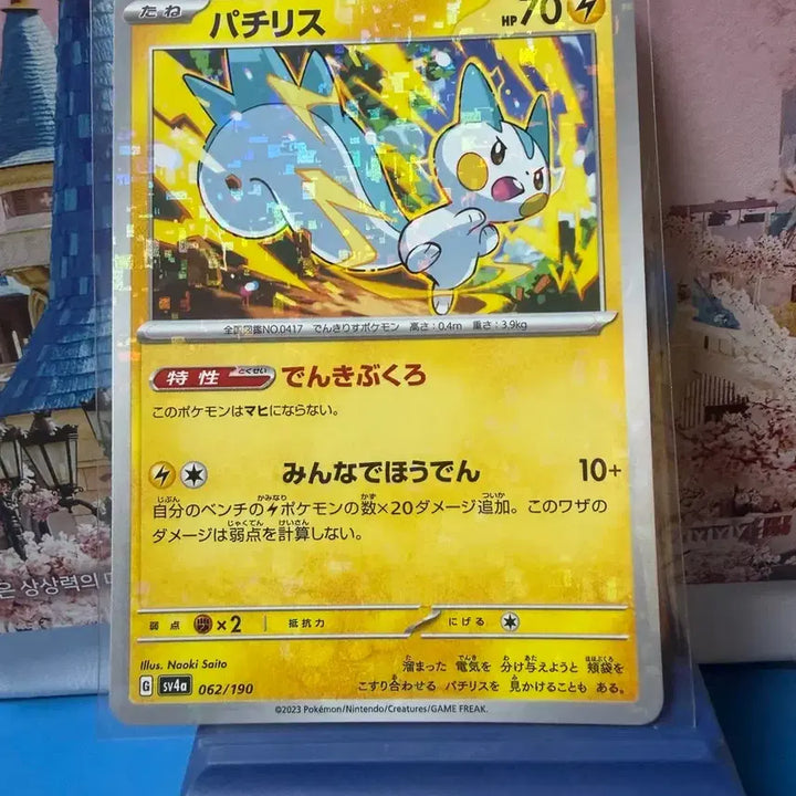 [BUNJANG] Japanese Pokemon Card Pachirisu Holo / 일판 포켓몬카드 파치리스 홀로그램