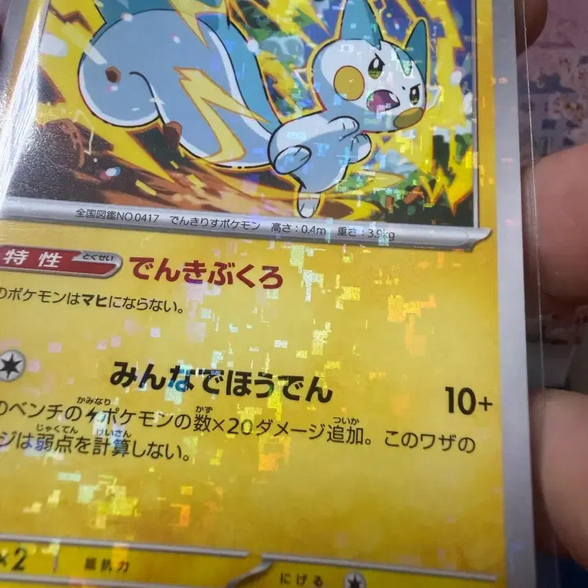 [BUNJANG] Japanese Pokemon Card Pachirisu Holo / 일판 포켓몬카드 파치리스 홀로그램