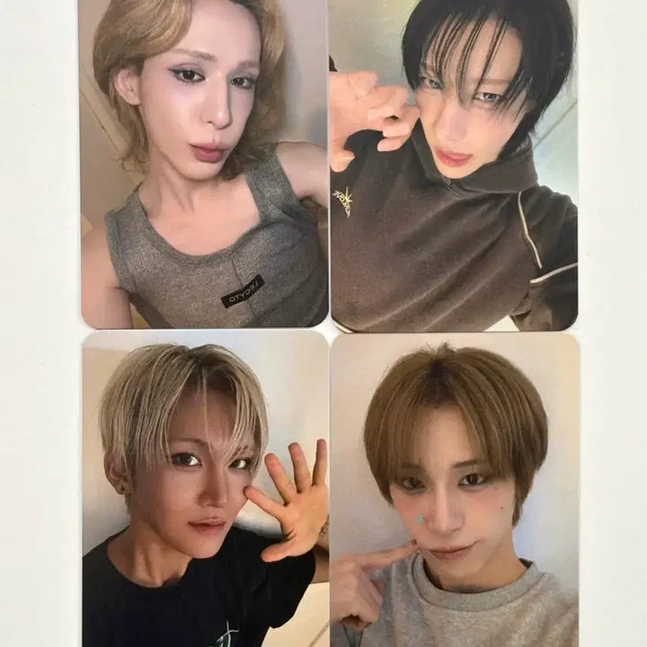 [BUNJANG] XOLO Concert Exclusive Photocard Set / (4pcs set) 엑스러브 xlov 콘서트 입장 특전 포카 poca