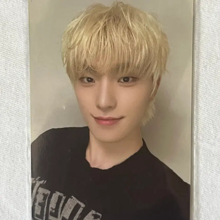 [BUNJANG] SEVENTEEN Dino Photocard &amp; Earrings Bundle Set / 세븐틴 귀걸이 디노 포카 포함