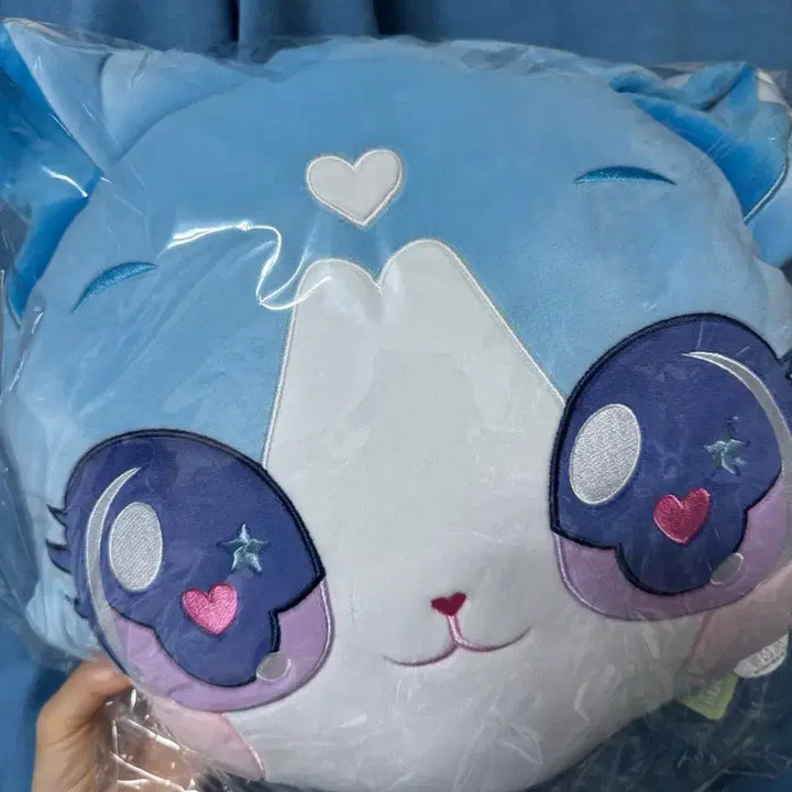 [BUNJANG] NCT WISH Wish Cat Cushion Riku Yushi Ryo Jaehee (Sealed) / (미개봉) 엔시티위시 위시캣 쿠션 리쿠 유우시 료 재희