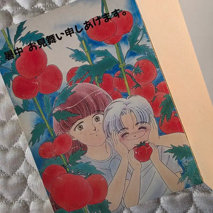 [BUNJANG] Saki Hiwatari Card Gallery 2 (1988) / 히와타리 사키 카드 갤러리2 (세월감 많음)