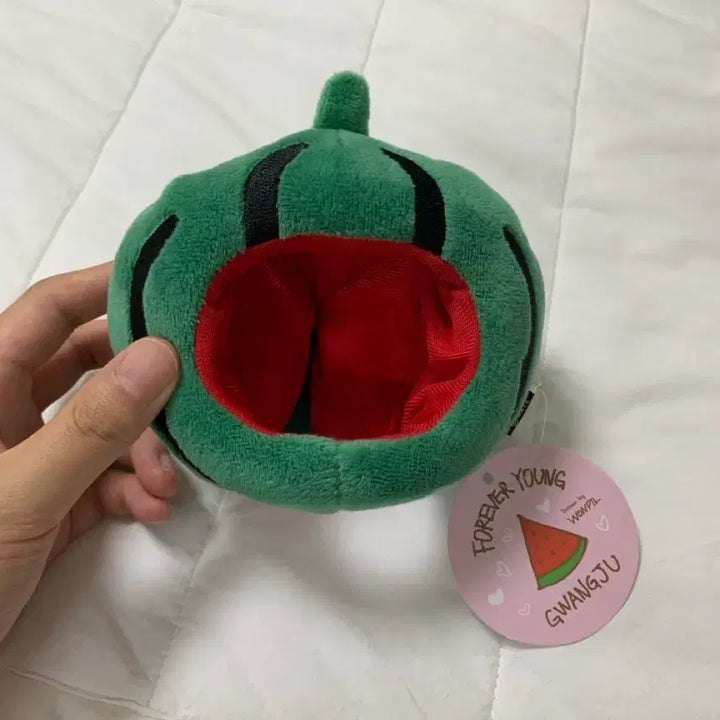[BUNJANG] DAY6 Forever Young Gwangju Watermelon Hat MD / 데이식스 포에버영 광주 수박모자 MD