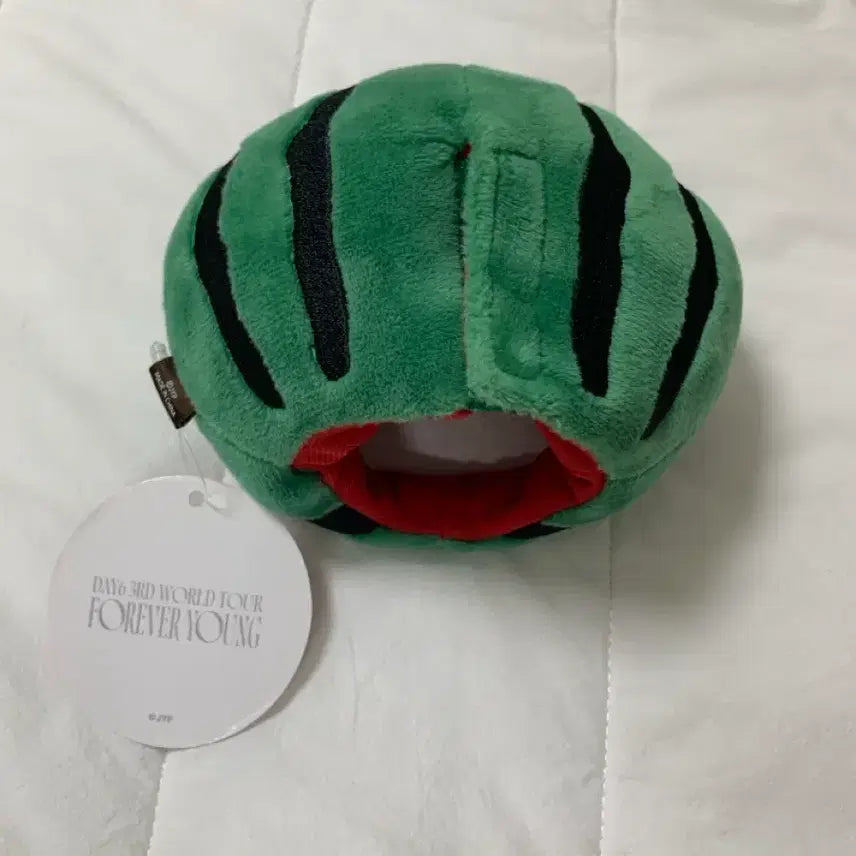 [BUNJANG] DAY6 Forever Young Gwangju Watermelon Hat MD / 데이식스 포에버영 광주 수박모자 MD