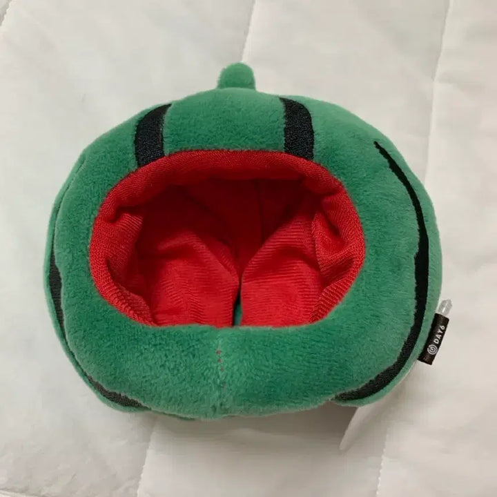 [BUNJANG] DAY6 Forever Young Gwangju Watermelon Hat MD / 데이식스 포에버영 광주 수박모자 MD