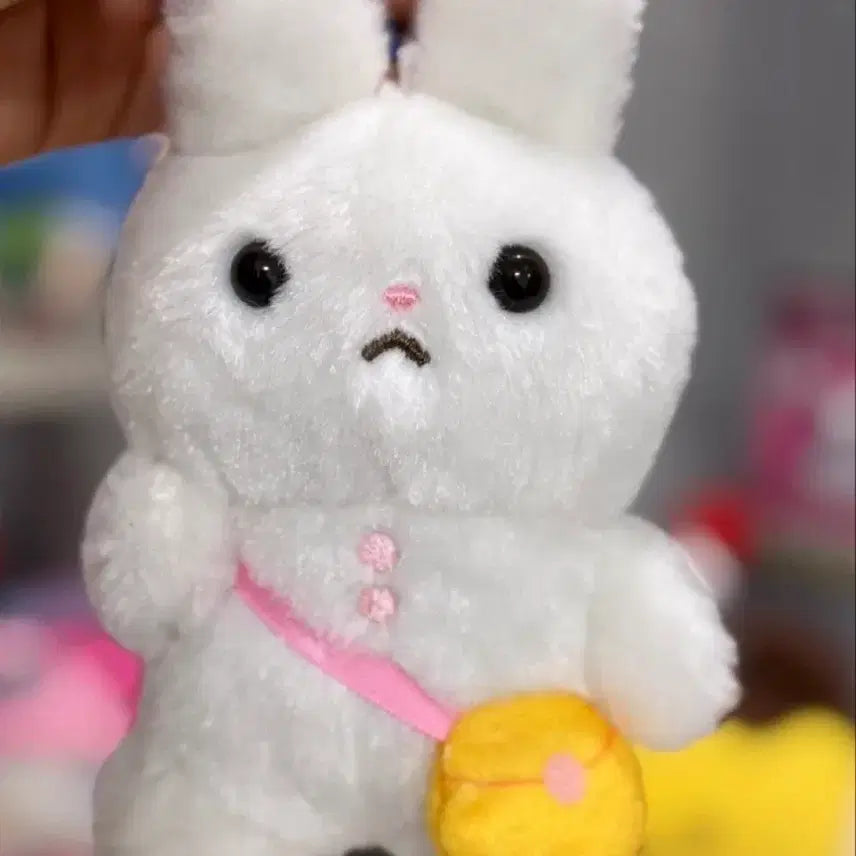 [BUNJANG] Amuse Rabbit Doll Classic Doll / 일본 어뮤즈 토끼 인형  고전인형 걱정많은토끼