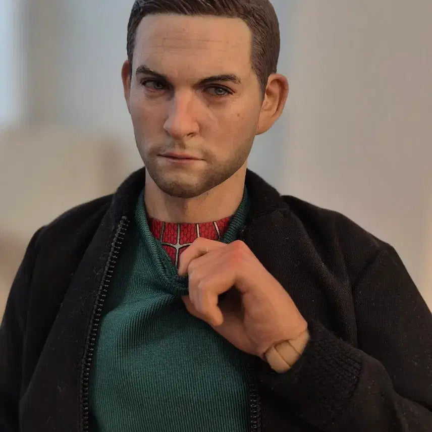 [BUNJANG] Hot Toys Spider-Man Custom Figure / 핫토이x 샘스파 커스텀