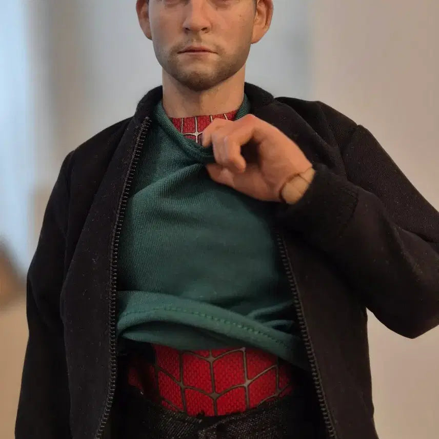 [BUNJANG] Hot Toys Spider-Man Custom Figure / 핫토이x 샘스파 커스텀