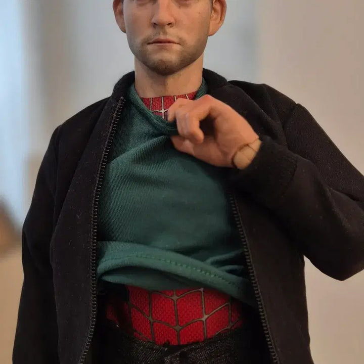 [BUNJANG] Hot Toys Spider-Man Custom Figure / 핫토이x 샘스파 커스텀