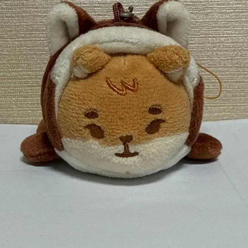 [BUNJANG] Denimals Pet Carrier Bundle Set / 데니멀즈 영케이 사족보행 21쁘띠케 + 다람쥐 옷 일괄