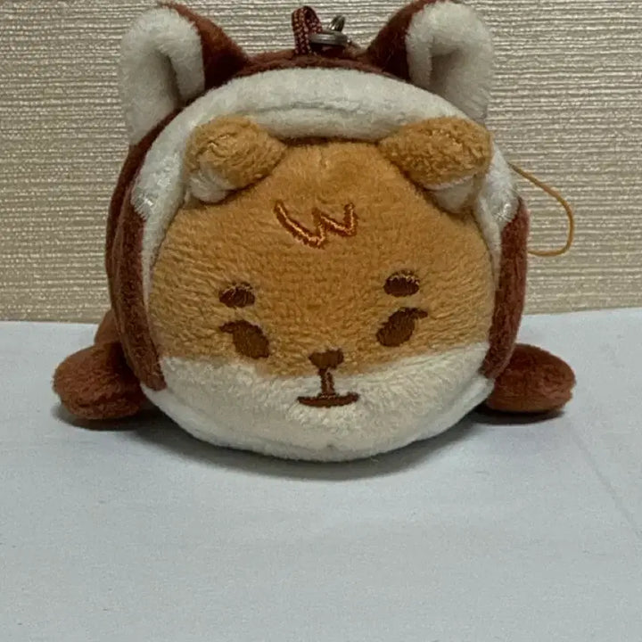 [BUNJANG] Denimals Pet Carrier Bundle Set / 데니멀즈 영케이 사족보행 21쁘띠케 + 다람쥐 옷 일괄