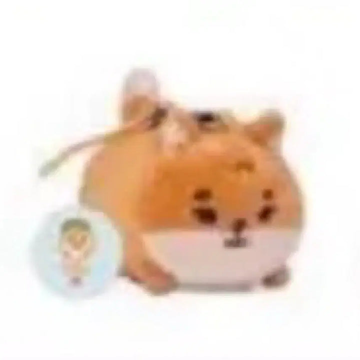 [BUNJANG] Denimals Pet Carrier Bundle Set / 데니멀즈 영케이 사족보행 21쁘띠케 + 다람쥐 옷 일괄