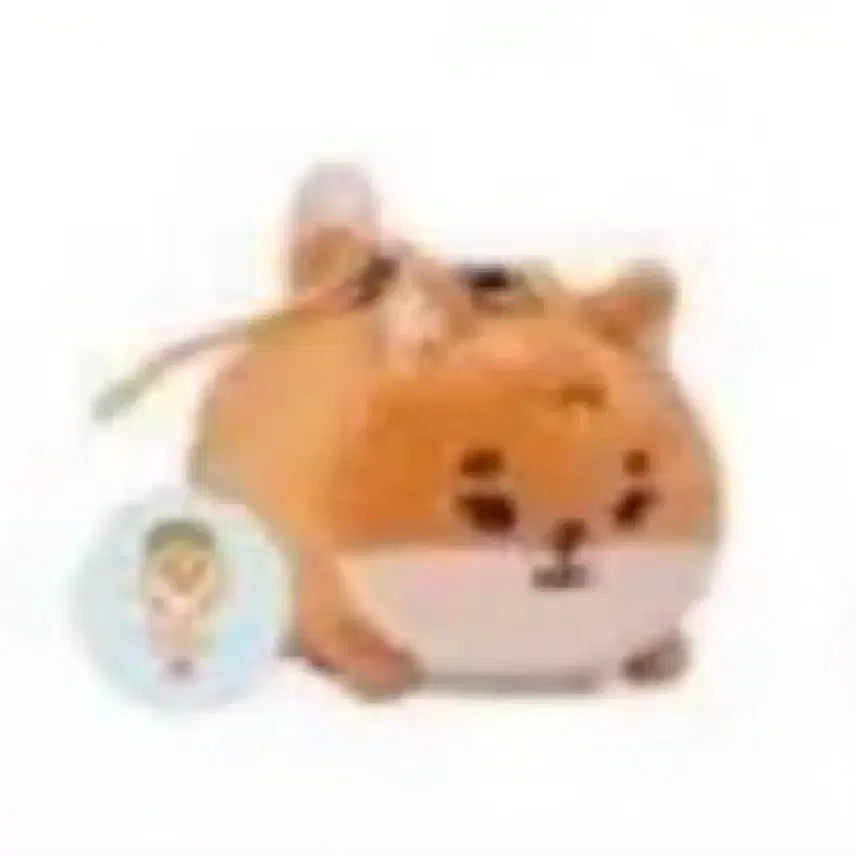 [BUNJANG] Denimals Pet Carrier Bundle Set / 데니멀즈 영케이 사족보행 21쁘띠케 + 다람쥐 옷 일괄