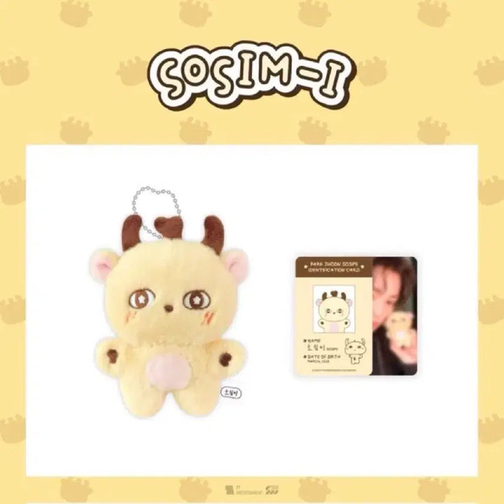 [BUNJANG] Park Jihoon Sosimi Doll Photocard Bundle Set / (미개봉) 박지훈 소심이 인형 포카 포토카드 포함 양도