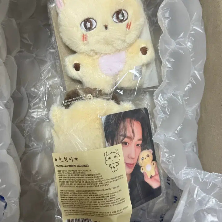 [BUNJANG] Park Jihoon Sosimi Doll Photocard Bundle Set / (미개봉) 박지훈 소심이 인형 포카 포토카드 포함 양도