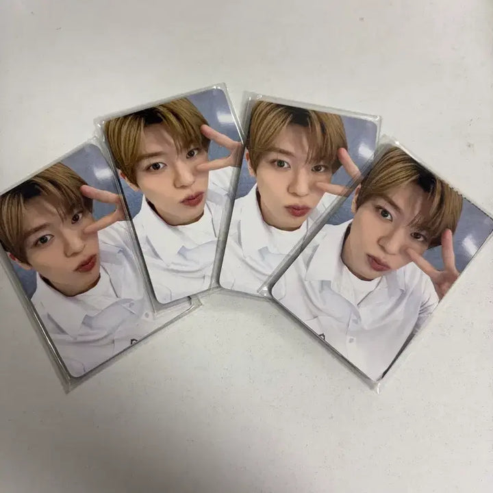[BUNJANG] NCT WISH School of Wish Entrance Photocard Bundle Set / 스쿨오브위시 입장포카 미개봉 세트 일괄 엔시티위시 NCT WISH 전국투어 전투