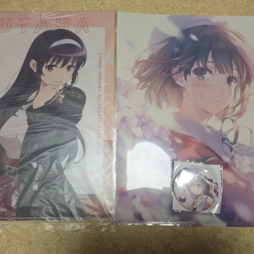 [BUNJANG] SaeKano Clear Files &amp; Badge Set / 시원찮은 그녀 클리어 파일 , 뱃지