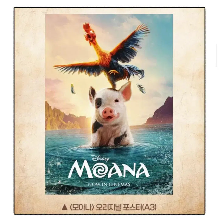 [BUNJANG] Moana Lotte Cinema Poster Sticker Bundle / 모아나 롯데시네마 (포스터 스티커 일괄)