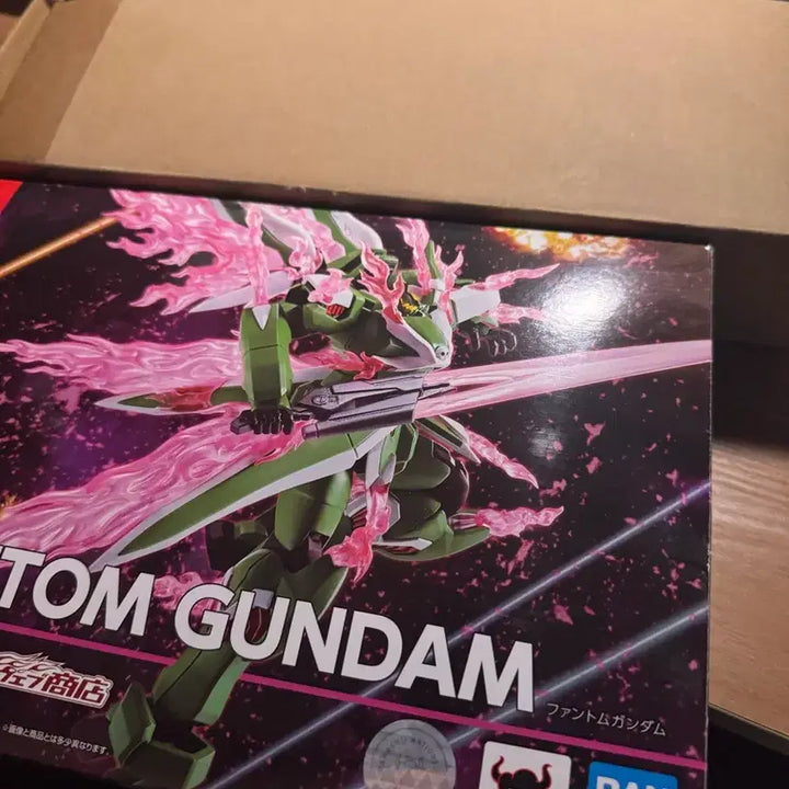 [BUNJANG] Robot Damashii Phantom Gundam (Opened) / 로봇혼 팬텀 건담 개봉 전시품