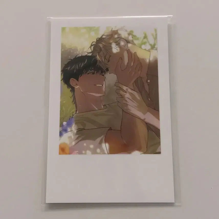 [BUNJANG] Passion Noctua Special POB Polaroid / 패션 passion 녹티아 특전 폴라로이드