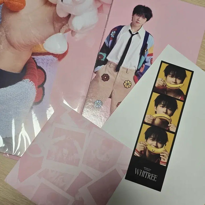 [BUNJANG] Nam Woo Hyun Whitree &