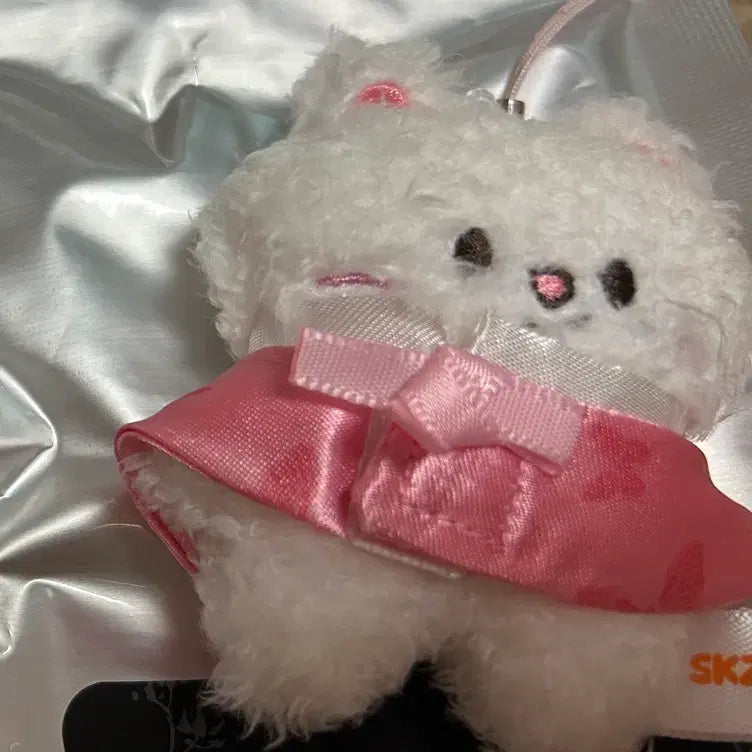[BUNJANG] Stray Kids Hyunjin Micro Jewel Case / 마이크로 스키주 지니렛 스키즈 현진 skz