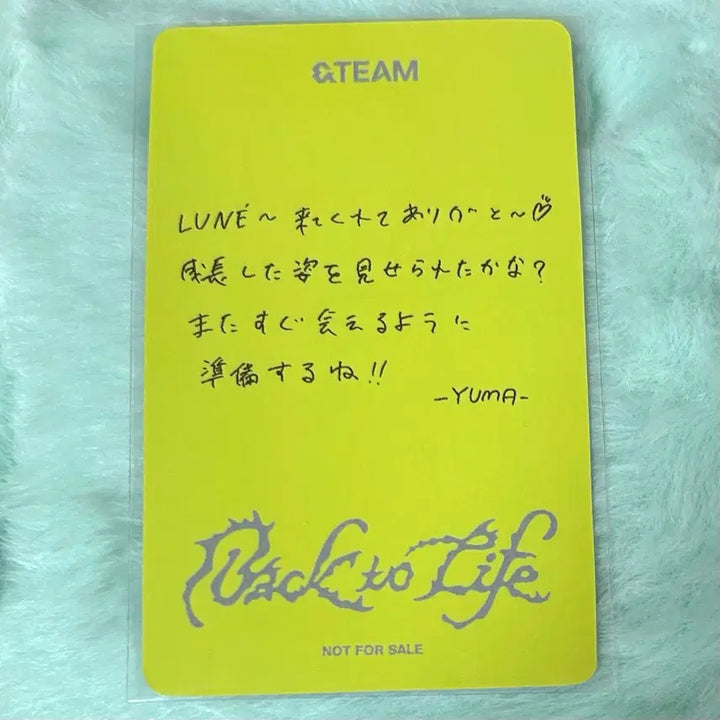 [BUNJANG] ENHYPEN Back to Life Japan Showcase Weverse Japan Yuma POB Photocard / 앤팀 백투라 일본 쇼케 위버스재팬 유마 특전 포카 양도 미공포