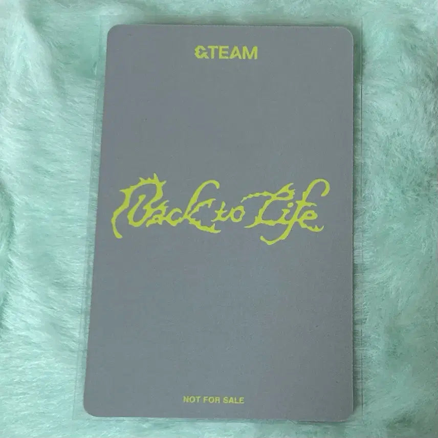 [BUNJANG] ENHYPEN Back to Life Weverse Japan Nicholas Lucky Draw Photocard / 앤팀 백투라 위버스재팬 니콜라스 럭드 포카 양도 back to life