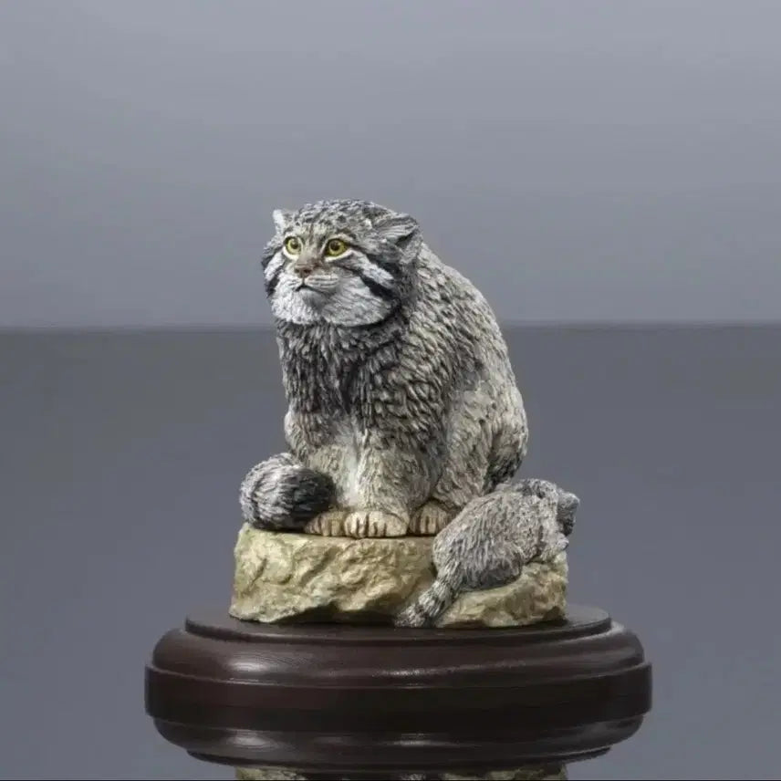 [BUNJANG] Anipark Bio Encyclopedia Wild Cat Family Marul Cat Simple Unsealed Item / 생물대도감 야생 고양잇과 마눌 고양이 단순개봉품