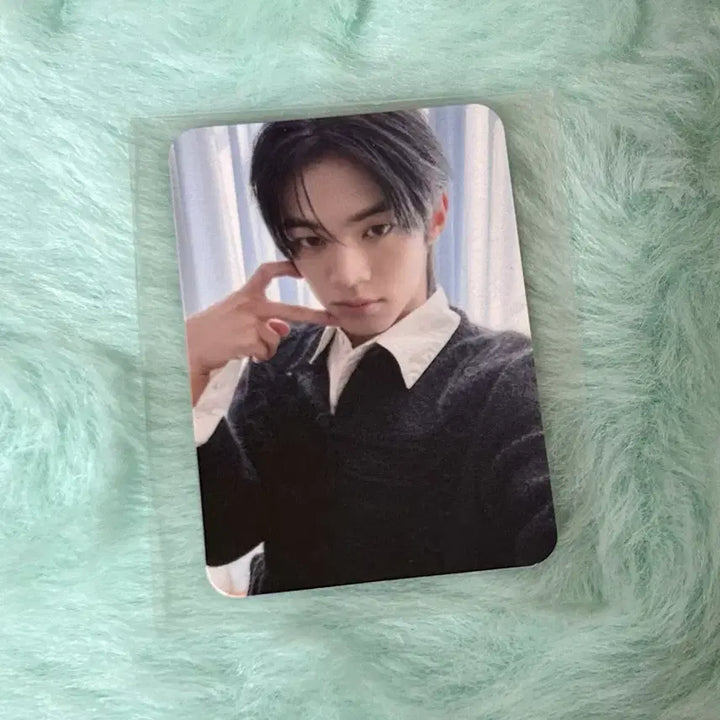 [BUNJANG] TWS Dohoon Tower Records Shibuya POB Mini Photocard / 투어스 도훈 타워레코드 시부야 특전 미니 포카 양도 컴팩트 미공포