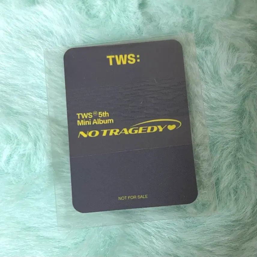 [BUNJANG] TWS Dohoon Tower Records Shibuya POB Mini Photocard / 투어스 도훈 타워레코드 시부야 특전 미니 포카 양도 컴팩트 미공포